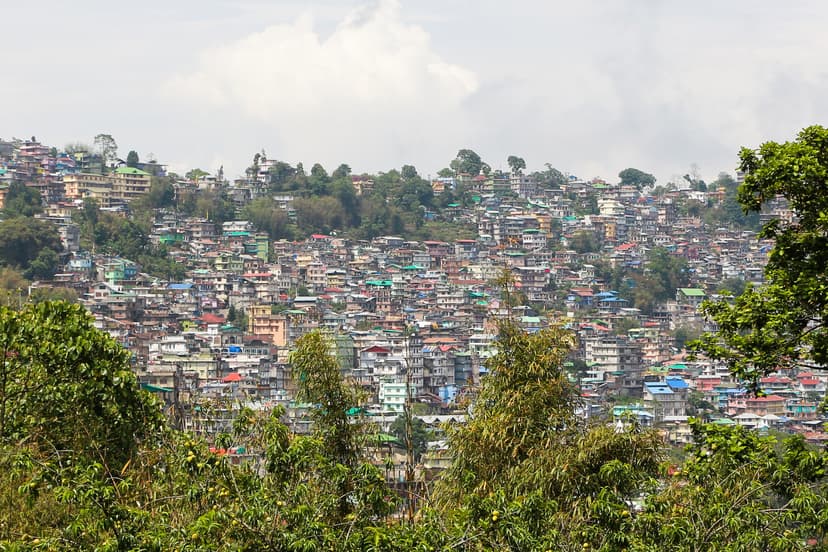 Darjeeling 6