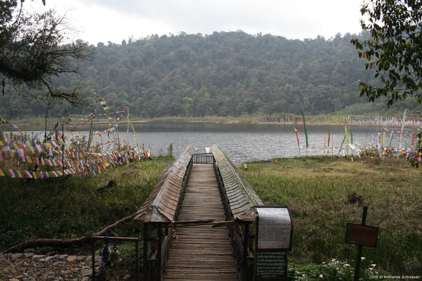Pelling 2