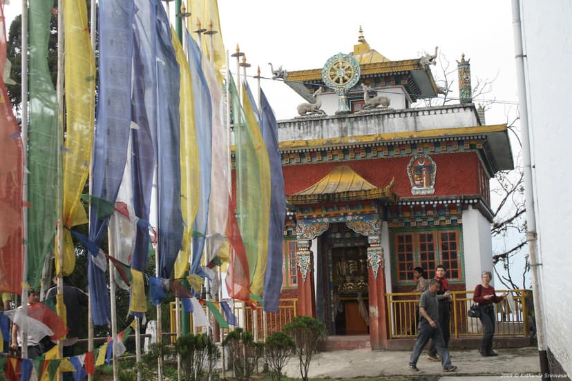 Pelling 1