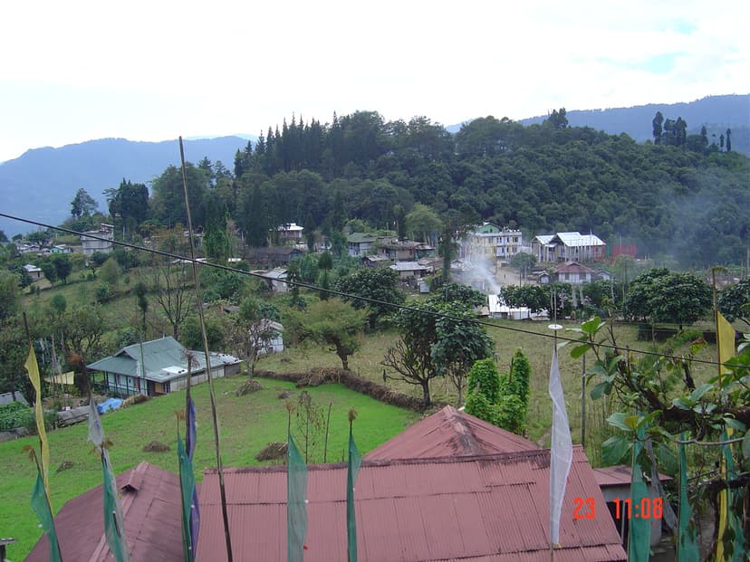 Pelling 5